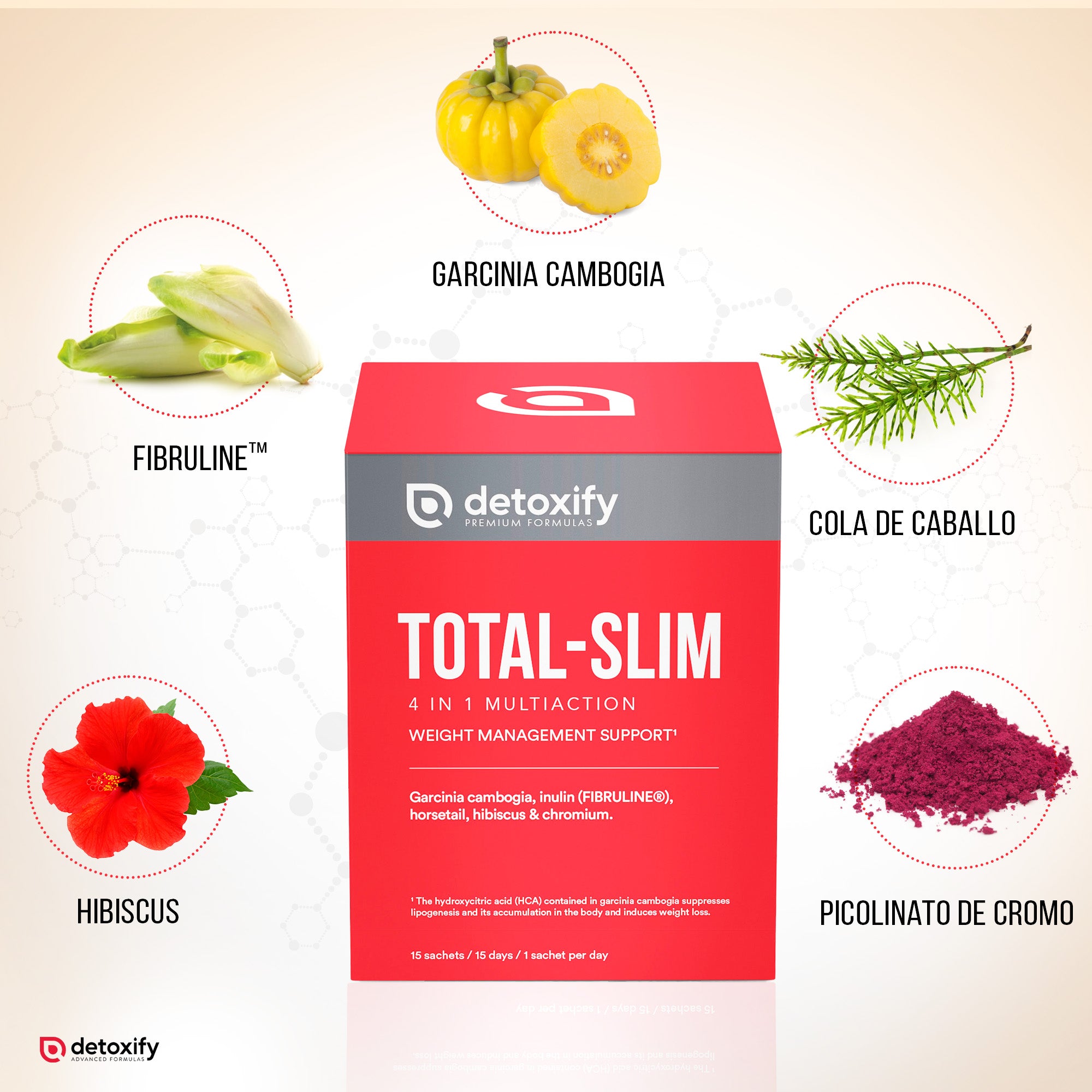 Detoxify Total-Slim | Quemagrasas Potente para Adelgazar | Potente Saciante en Sobres | Garcinia Cambogia Cromo Cola de Caballo Hibisco | Adelgazar Rápido y Efectivo Mujer | 15 Días