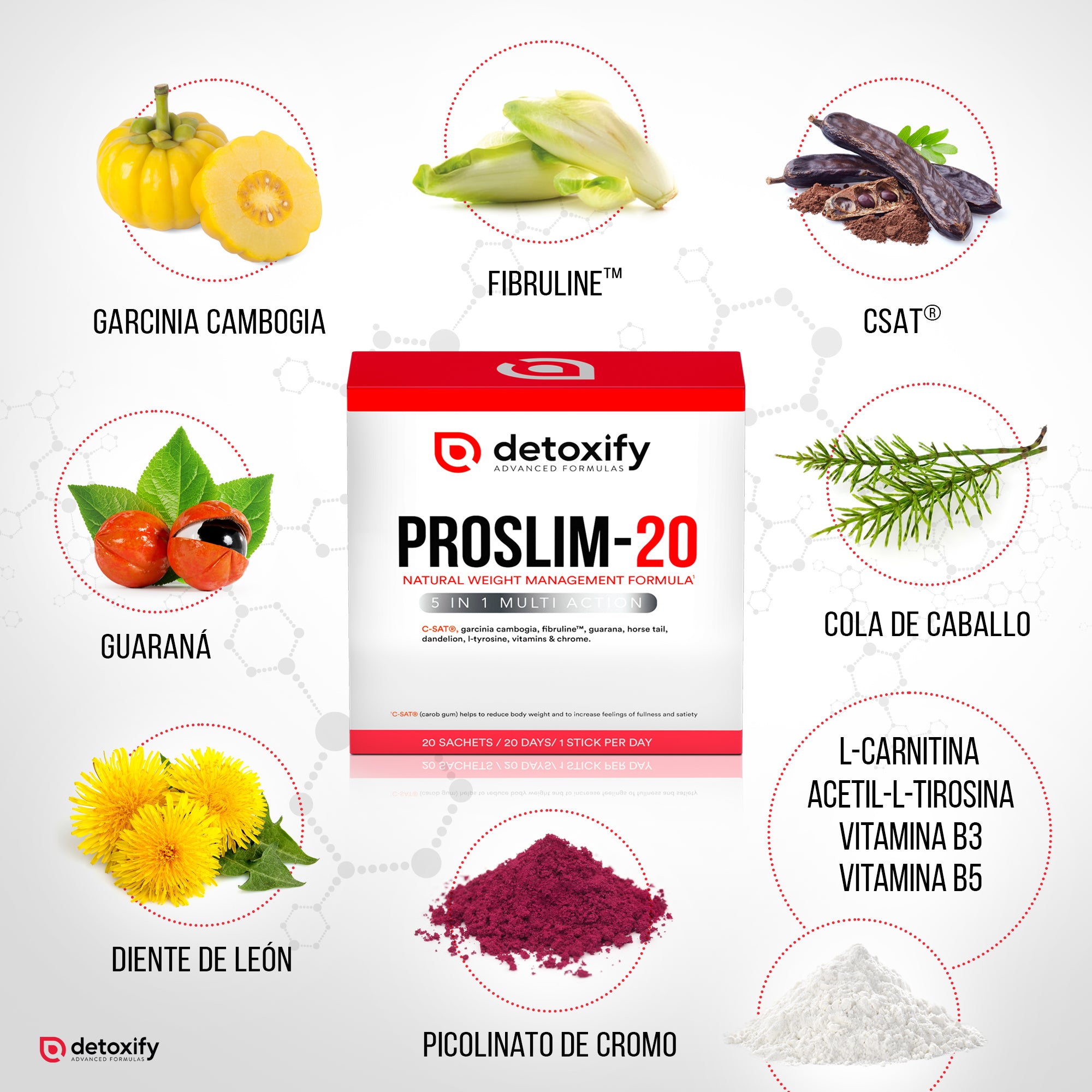 Detoxify® ProSlim-20 | Ayuda a Controlar el Hambre y la Ansiedad por Comer | 20 Días de Tratamiento